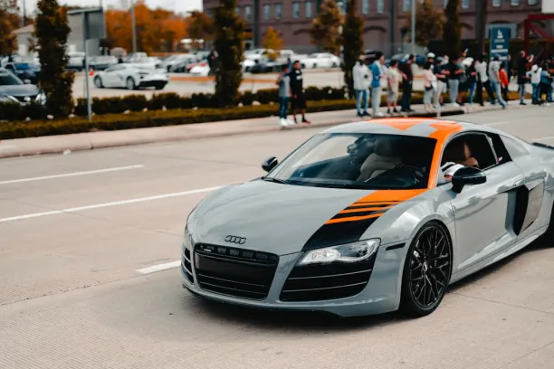 Casino Cashi Mashi Aip Android/iOS